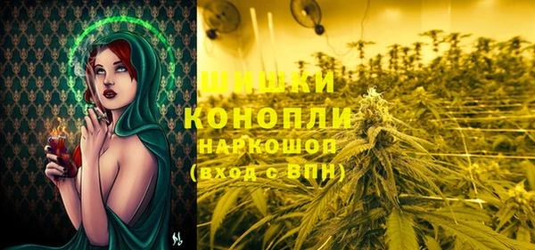 ешки Надым
