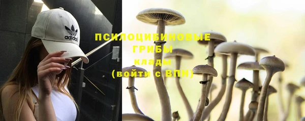 2c-b Навашино