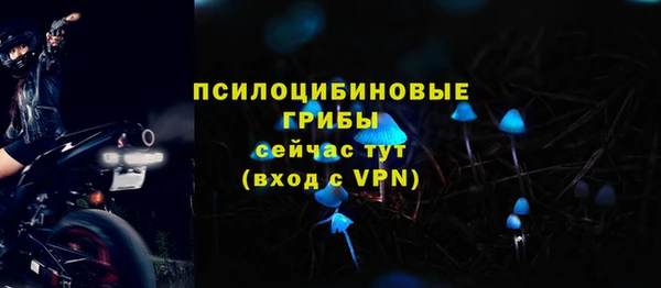 ешки Надым