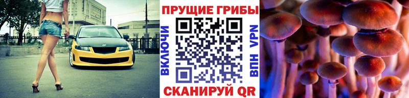 Псилоцибиновые грибы Magic Shrooms  где найти наркотики  Екатеринбург 